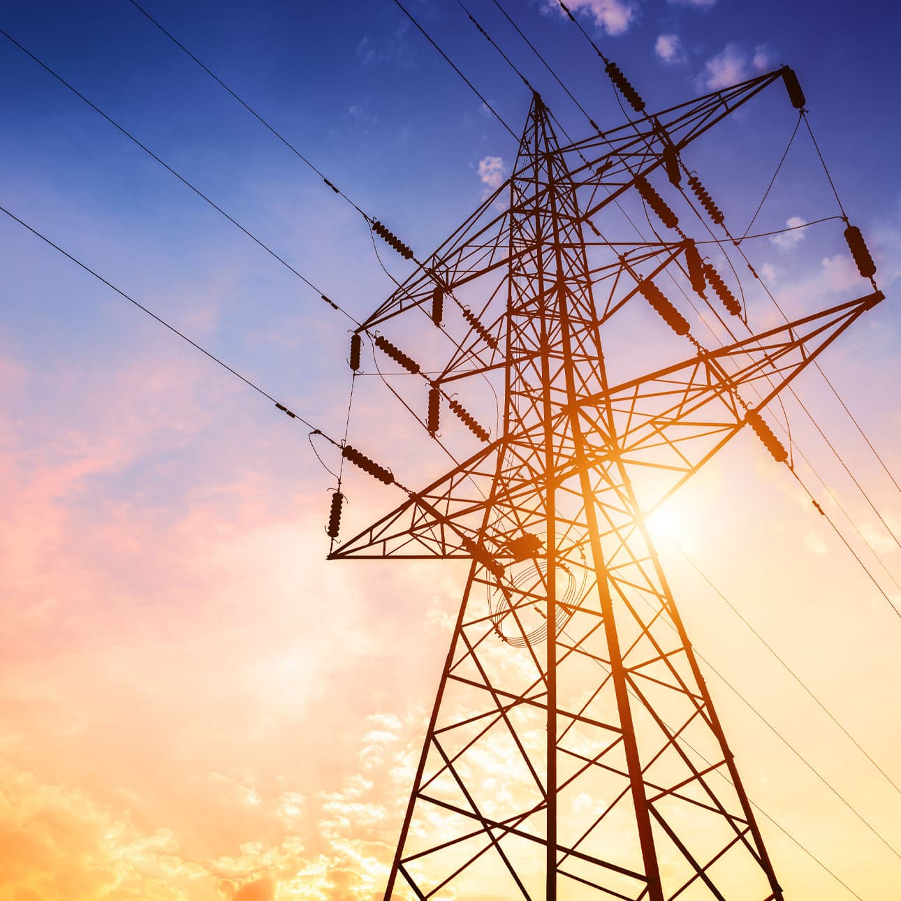 Taylor Walton | Electrical Equipment Compensation | About Us