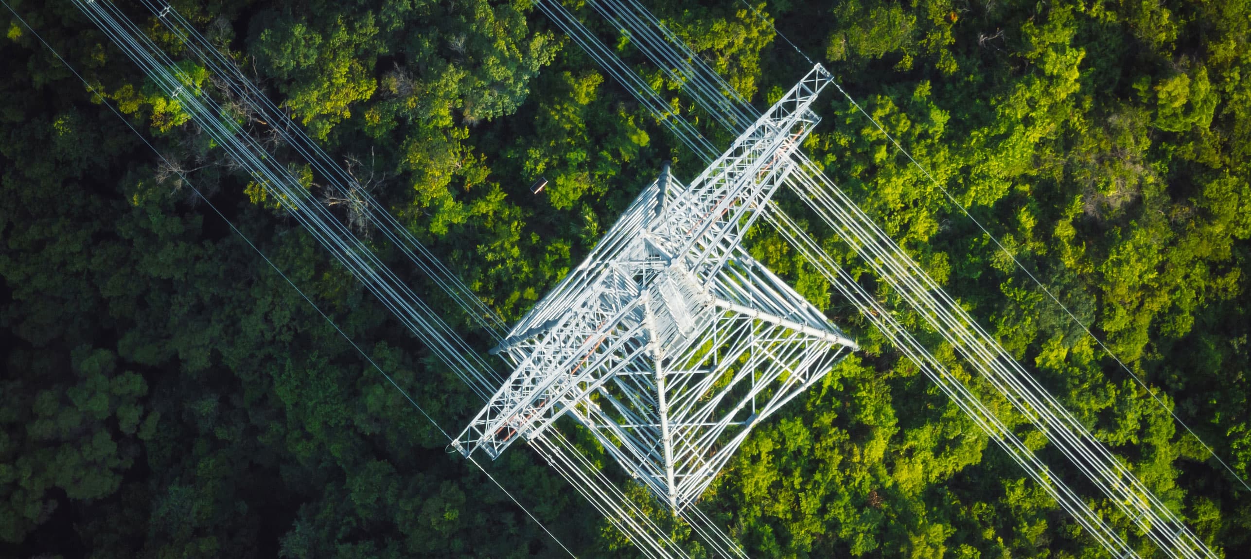 Taylor Walton | Electrical Equipment Compensation